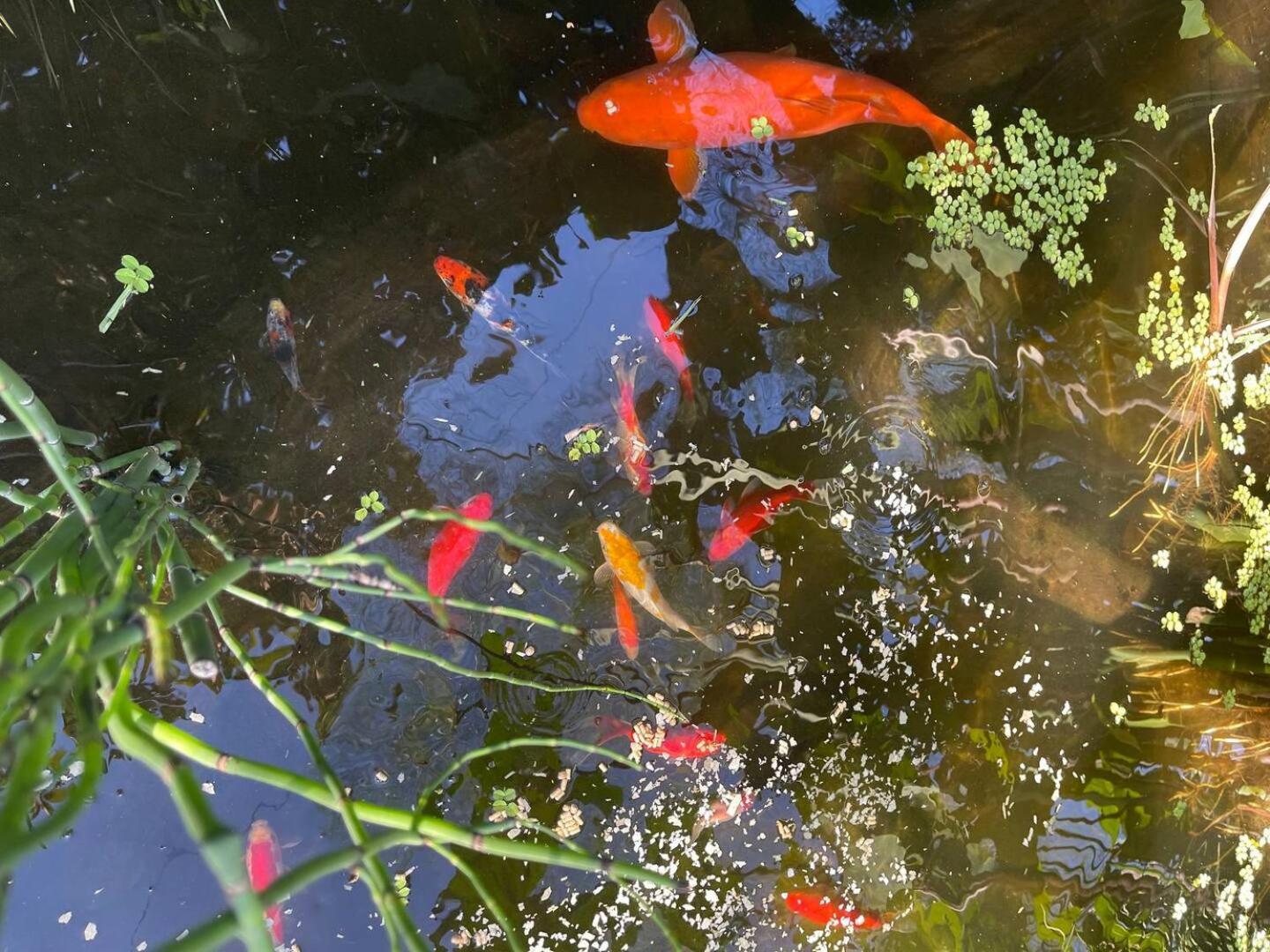 A Casa Do Lago Camarate  외부 사진